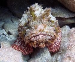 ugly by Clint Tackitt 
